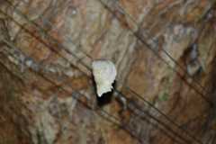 2013-09-25T08-19-58-028.jpg