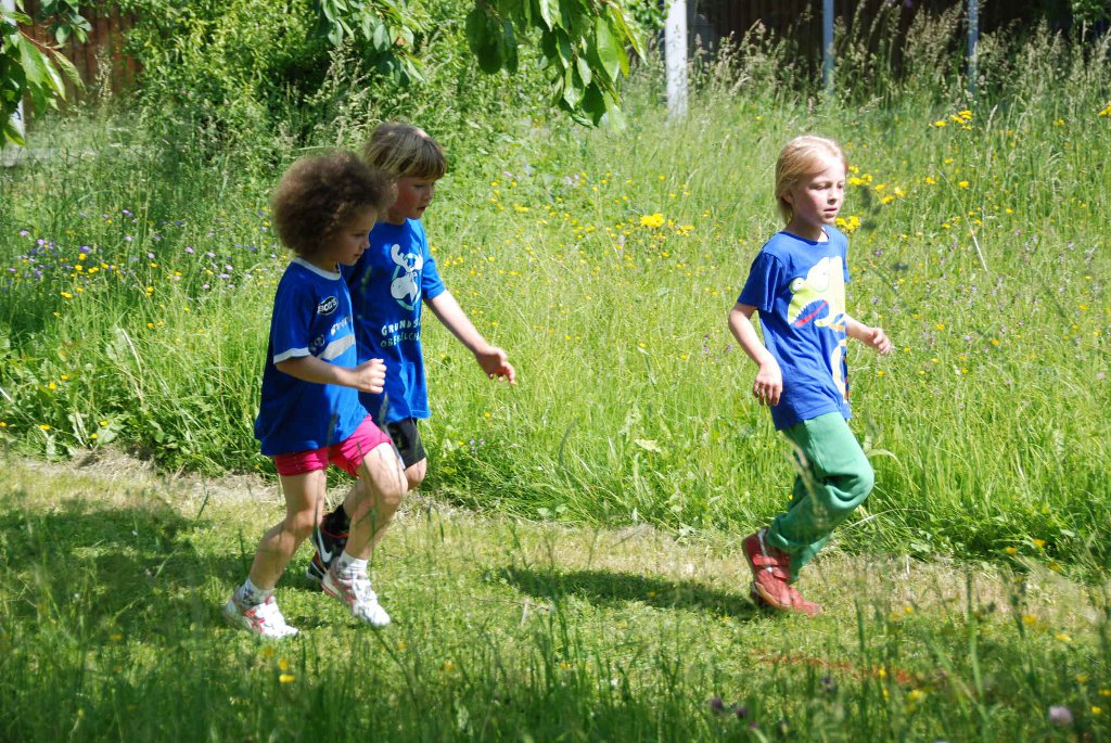 2013-06-07T09-37-25-112_sml.jpg