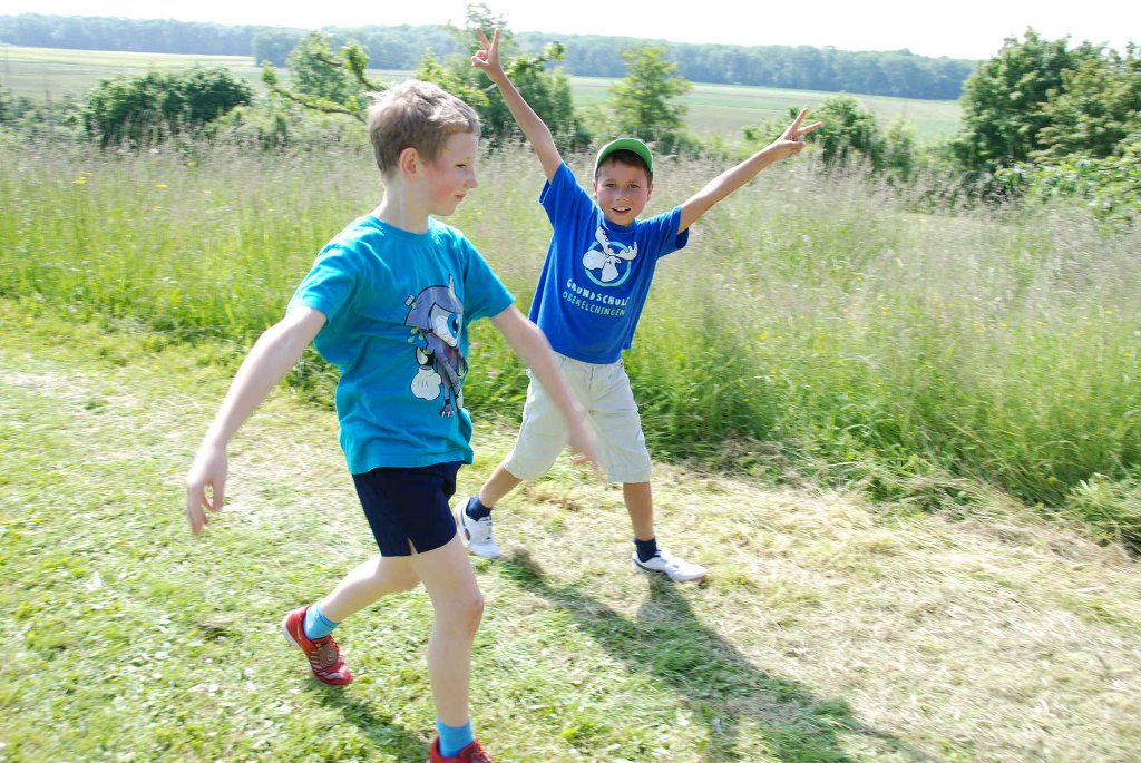 2013-06-07T09-41-19-122_sml.jpg
