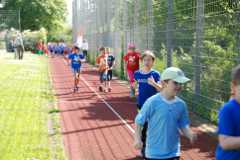 2013-06-07T09-12-57-048_sml.jpg