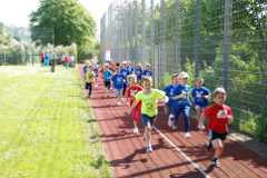 2013-06-07T09-13-34-057_sml.jpg