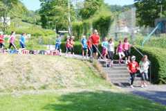 2013-06-07T09-14-51-065_sml.jpg