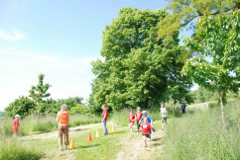 2013-06-07T09-20-00-081_sml.jpg