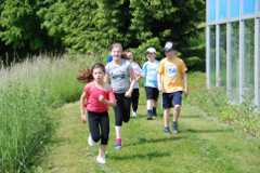 2013-06-07T09-36-31-109_sml.jpg