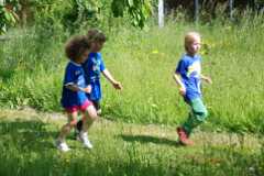 2013-06-07T09-37-25-112_sml.jpg