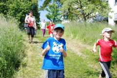 2013-06-07T09-37-58-114_sml.jpg