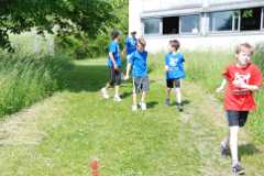 2013-06-07T09-39-23-117_sml.jpg