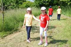 2013-06-07T09-40-59-120_sml.jpg