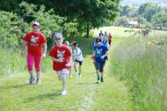 2013-06-07T09-41-28-123_sml.jpg