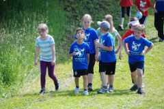 2013-06-07T09-41-36-124_sml.jpg