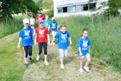 2013-06-07T09-41-49-125_sml.jpg