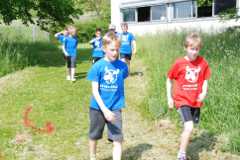 2013-06-07T09-42-31-127_sml.jpg