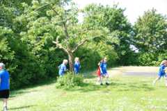 2013-06-07T09-47-17-137_sml.jpg