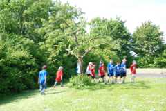 2013-06-07T09-47-28-138_sml.jpg