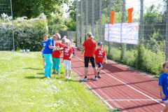 2013-06-07T09-49-00-142_sml.jpg
