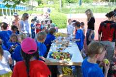 2013-06-07T10-17-11-167_sml.jpg