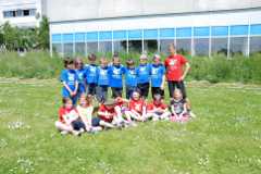 2013-06-07T10-29-02-180_sml.jpg