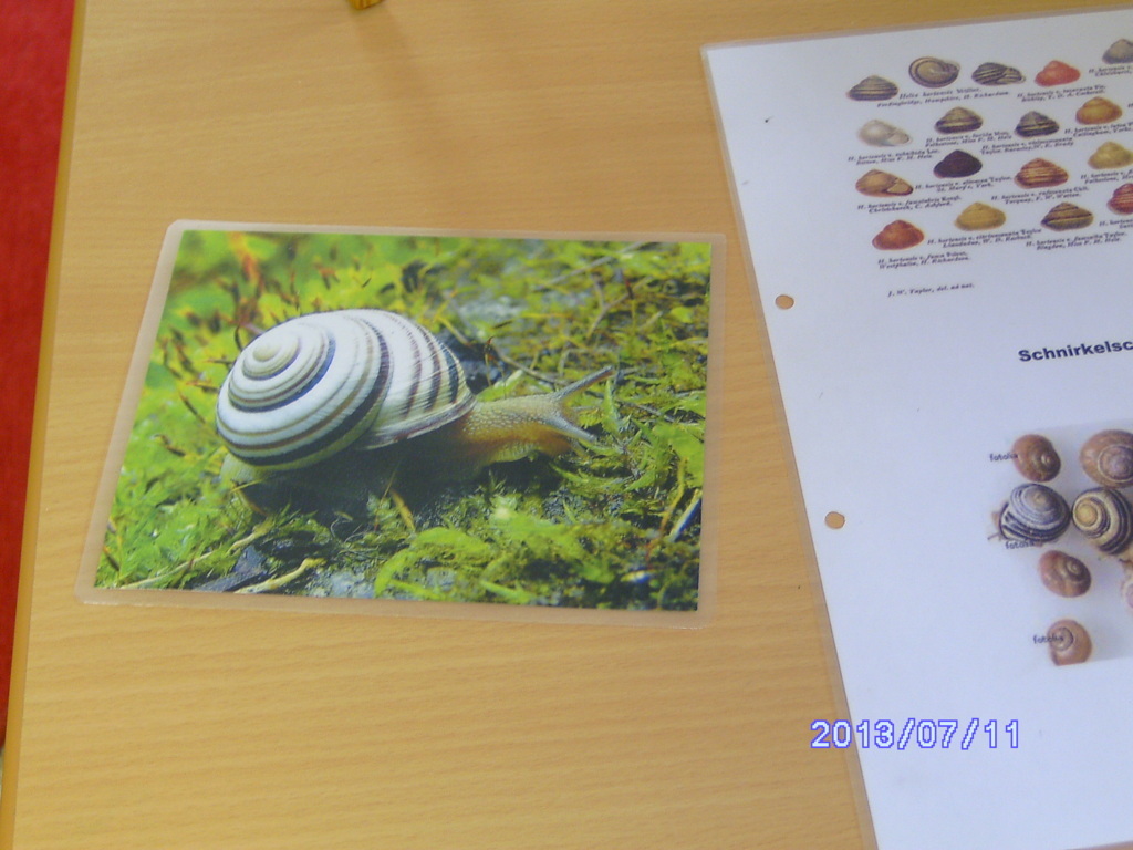 BILD0468 (FILEminimizer)