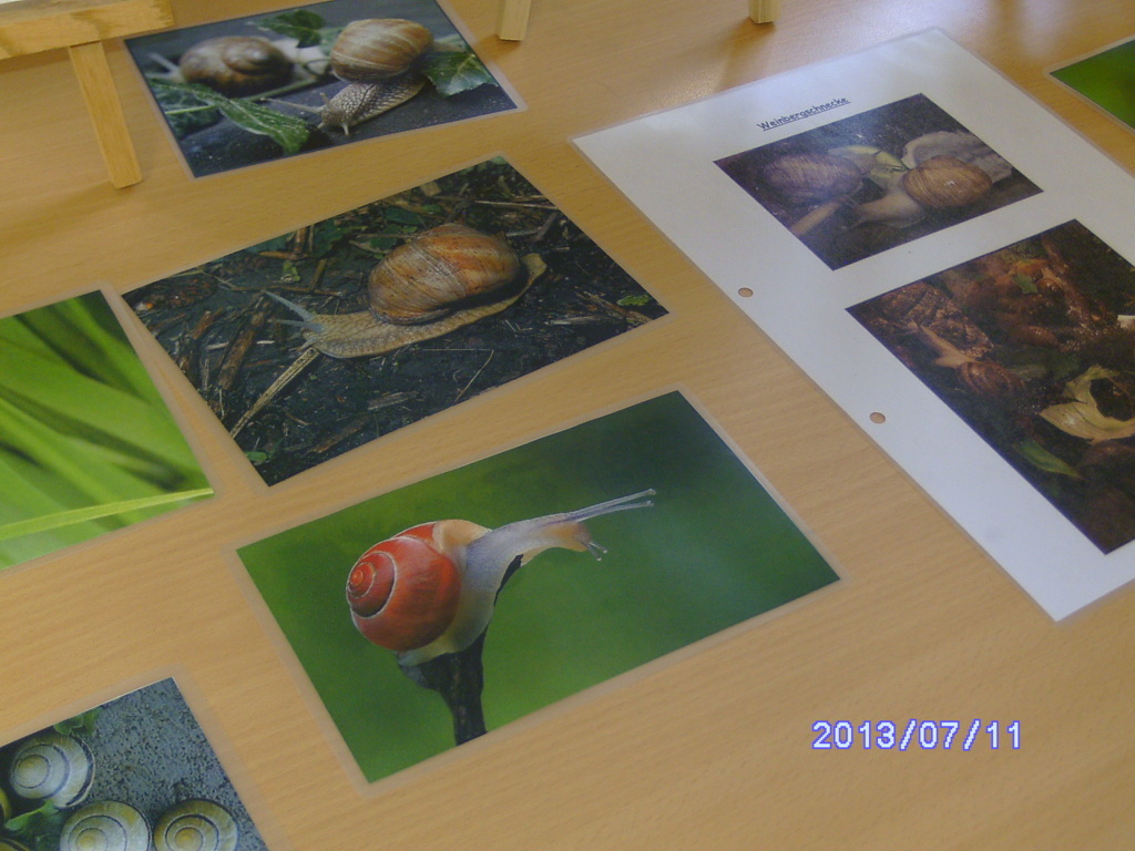 BILD0469 (FILEminimizer)