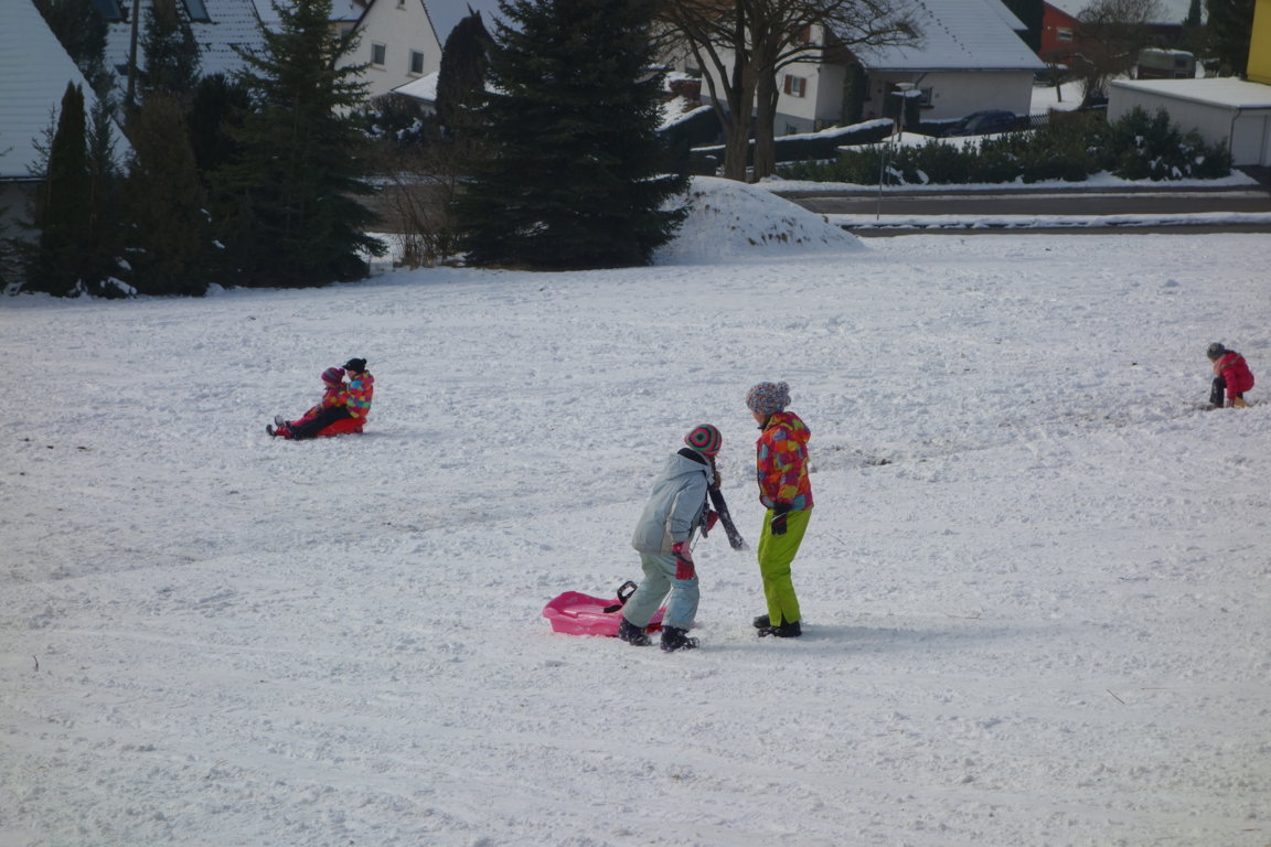 DSC00184 (FILEminimizer)