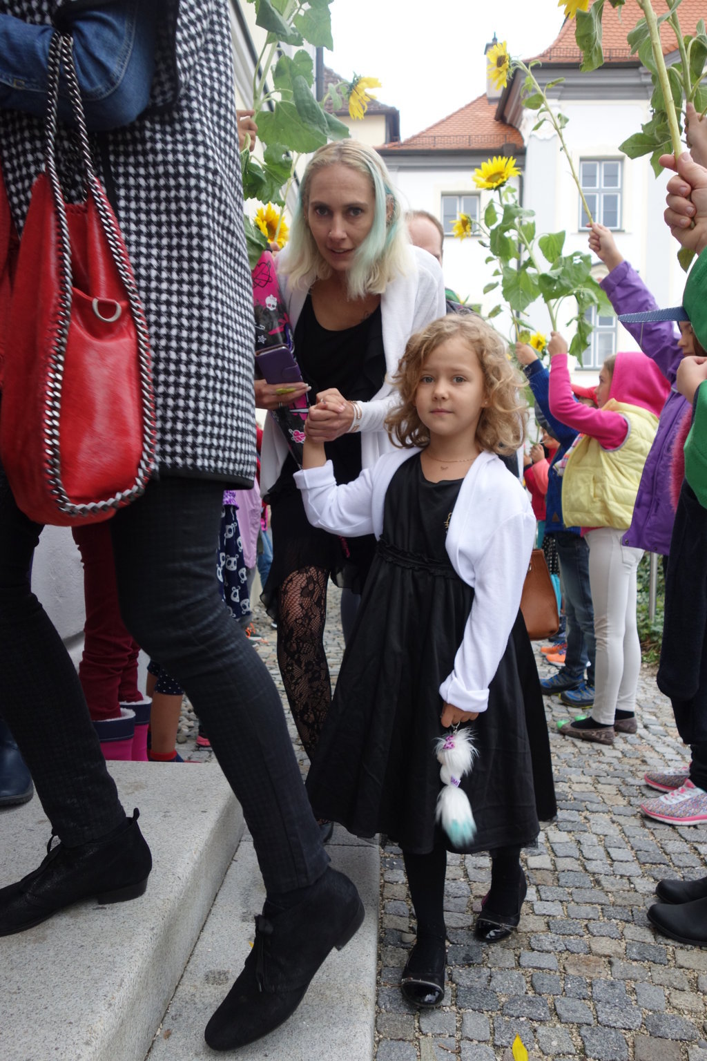 DSC01239 (FILEminimizer).JPG