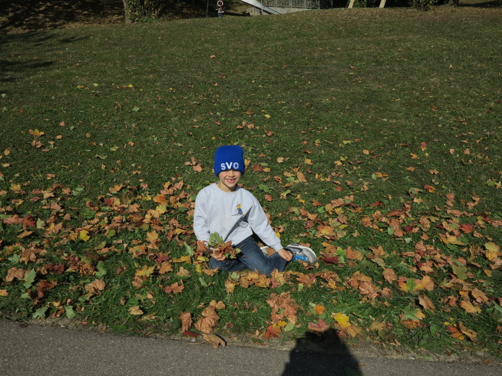 IMG_0004 (FILEminimizer).JPG