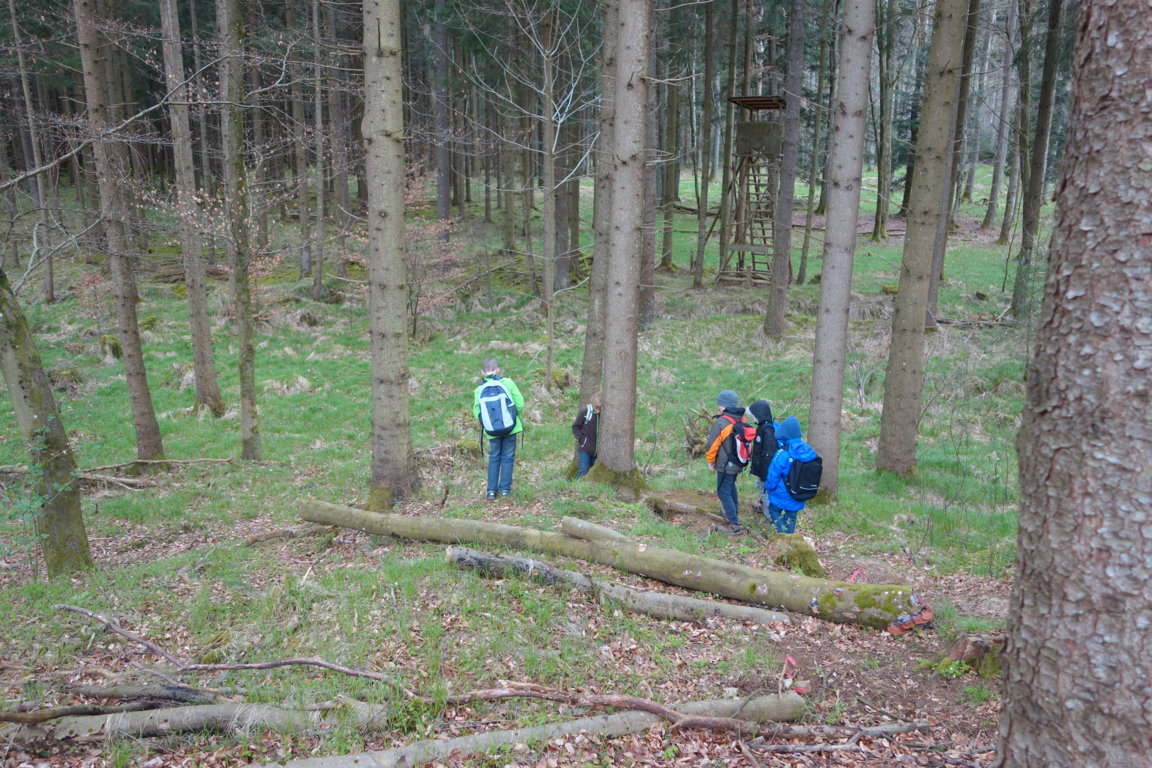 images/stories/2016-04-Roggenburg klein/DSC01943 (FILEminimizer).JPG