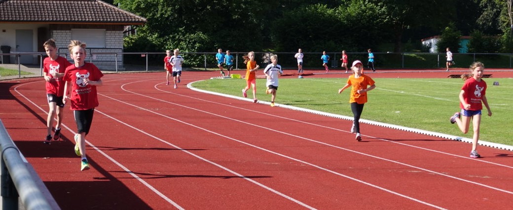 images/stories/2016-06-Leichtathletikwettkampf klein/DSC00376 (FILEminimizer).JPG
