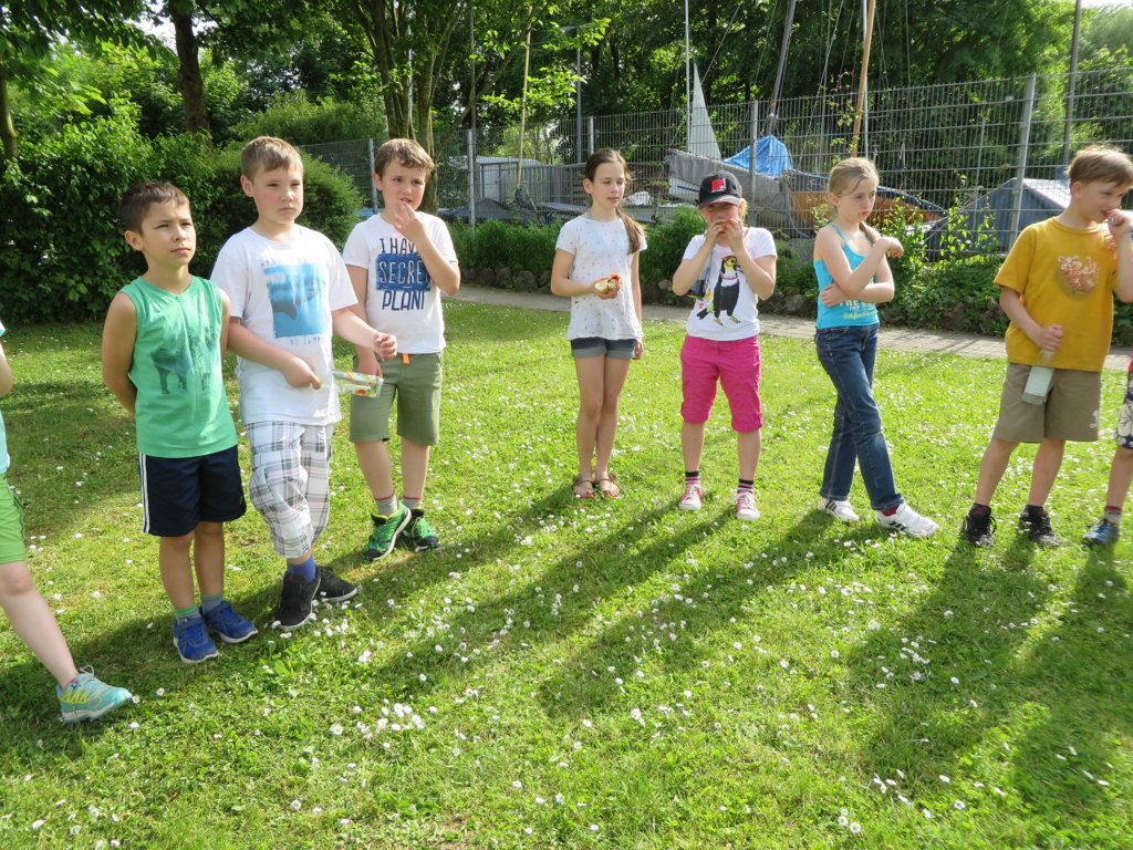 IMG 0607 (FILEminimizer)